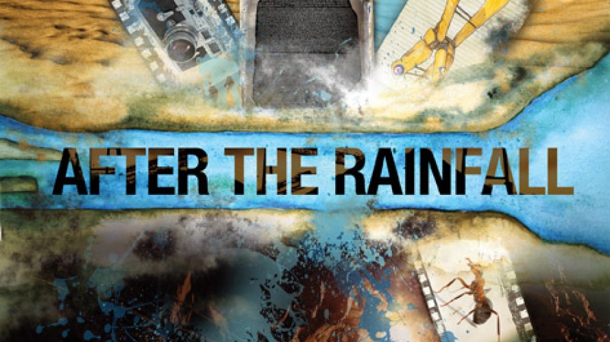 After the Rainfall After the Rainfall
