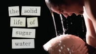 The Solid Life of Sugar Water The Solid Life of Sugar Water