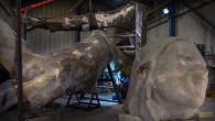 Messenger - head and body credit Stewart Writtle.jpg Messenger - head and body credit Stewart Writtle.jpg
